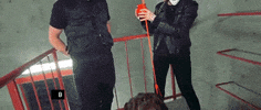 Kristinwitko GIF by File Under: Music
