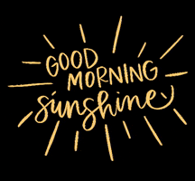 Sunshine Goodmorningsunshine GIF