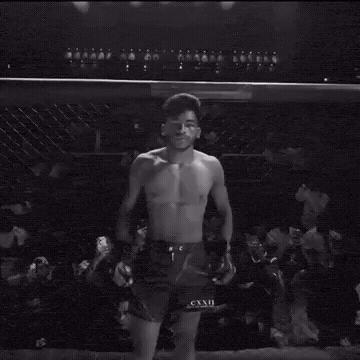 Ufc Mma GIF