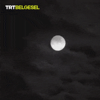 Good Night Moon GIF by TRT