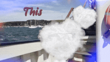 Twitch Streamer Ocean GIF by Four Rest Films