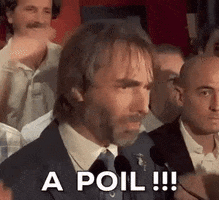 Villani GIF