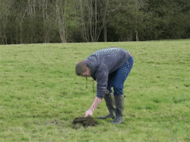200.gif