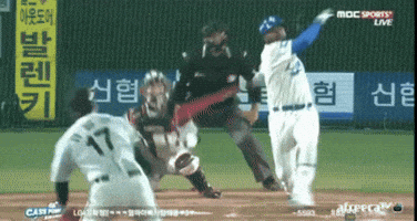 삼성라이온즈 GIF