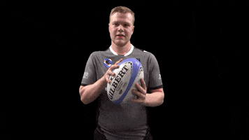 Ball Rugby GIF by FeansterRC