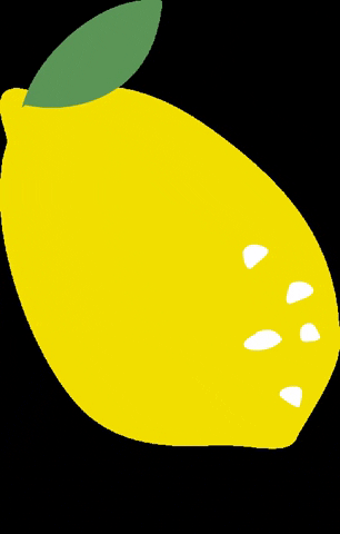 SoniaRykielKids lemon soniarykiel GIF
