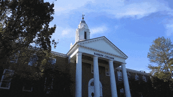 babsoncollege babson babson college GIF