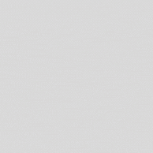 Liderlerin Lideri Medya - Doğru ve hızlı habercilik GIF