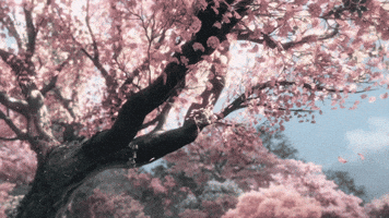Lunar New Year GIF
