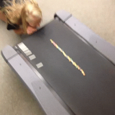 Treadmill GIF