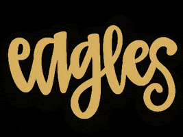 Eagles GIF