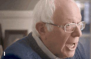 Feel The Bern Democracy GIF by Bernie Sanders