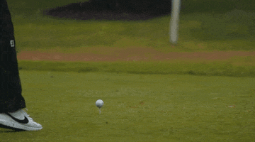 Golf Swing GIF by Delaware Blue Hens