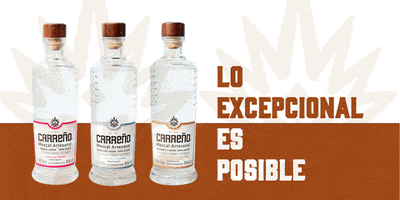 Alcohol Tequila GIF by Agave Abel
