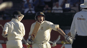 cricketcomau GIF