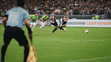 Atletico Mg Libertadores GIF by Clube Atlético Mineiro
