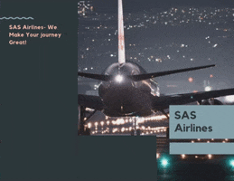Sas Airlines GIF