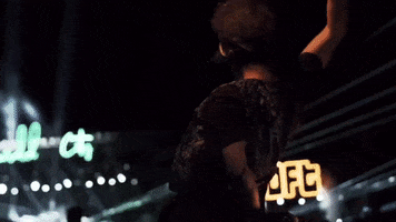 Dancefestopia Music Festival GIF