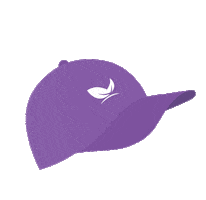 Usa Oil Sticker by MedterraCBD