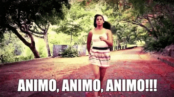 Animo GIF