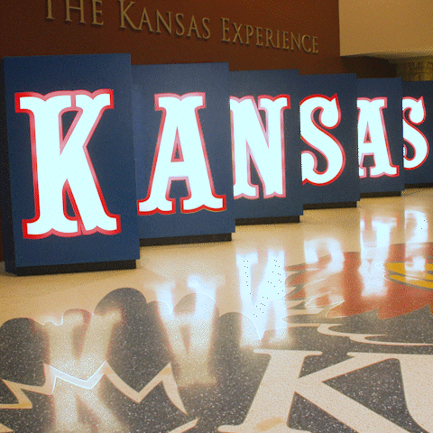 Mascots Jayhawks GIF by University of Kansas