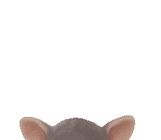 Magic Manufactory Sticker