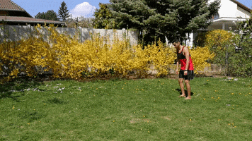 Caminata De Oso GIF