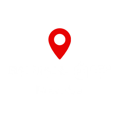 Df Pa Sticker by dalmass