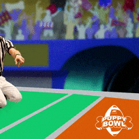 Football Touchdown GIF by Puppy Bowl