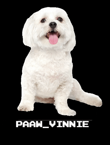 PAAW House GIF