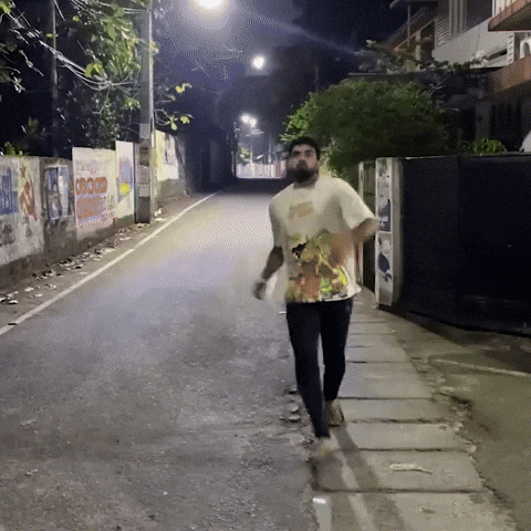 Fly GIF