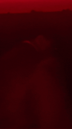 Asrm GIF by Bigcamiam