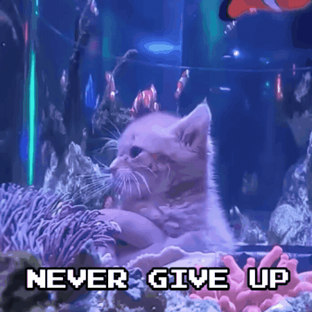Give Up Swimming GIF