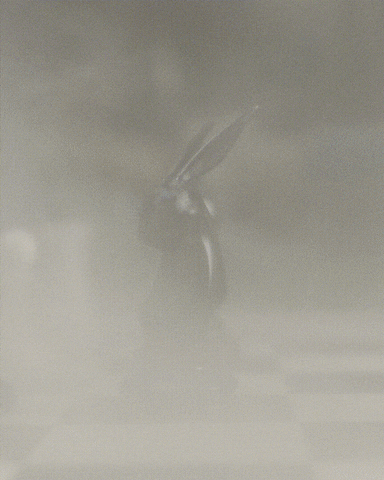 Wild Rabbit Chess GIF by HennessyUS