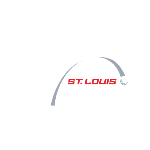 St. Louis Shock GIFs on GIPHY - Be Animated