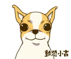 Animation Dog GIF