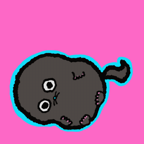 Idc Idk GIF