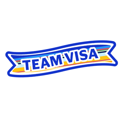 Teamvisa Sticker by Visa