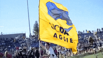 College Life Fun GIF by UCDavis