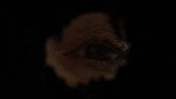 Chloe Grace Moretz Greta Movie GIF by Greta