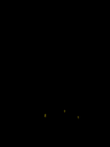 Fireworks GIF