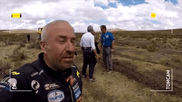 the beast what GIF by Tom Coronel