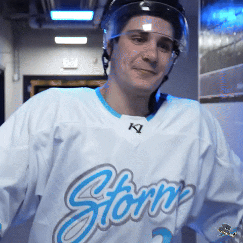Happy Hockey Players GIF by Quad City Storm