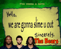 The Bears Football GIF