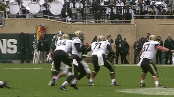 College Football Touchdown GIF by Michigan State Football
