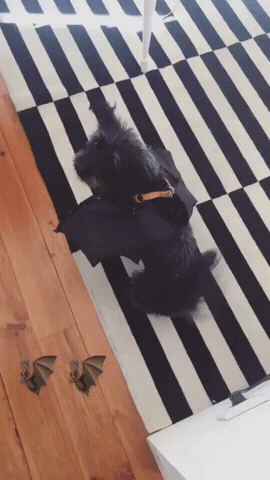 GIF by Legendary People + Ideas