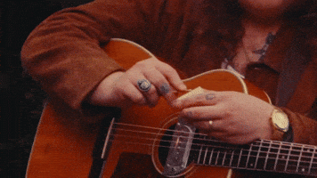 GIF by Marcus King