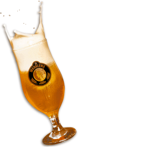 Cervejaria Madalena Sticker