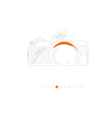 Art Photography Sticker
