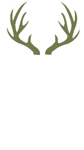 Country Music Deer Sticker by Mackenzie Carpenter